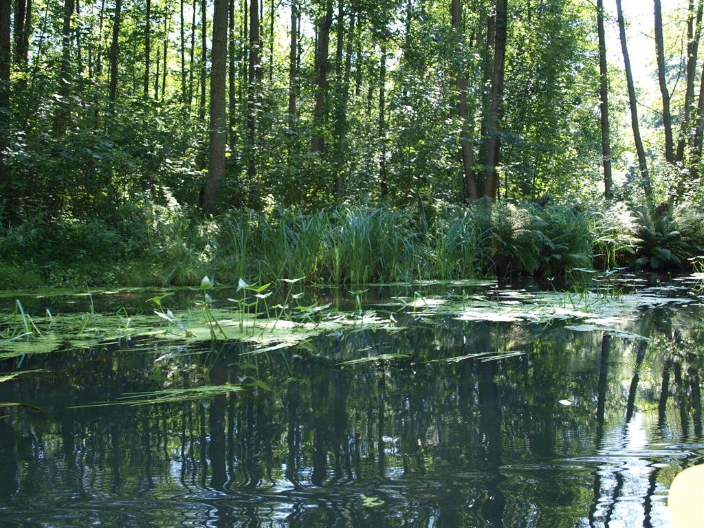 Zubehör / Tuning für Marquardt Faltboote